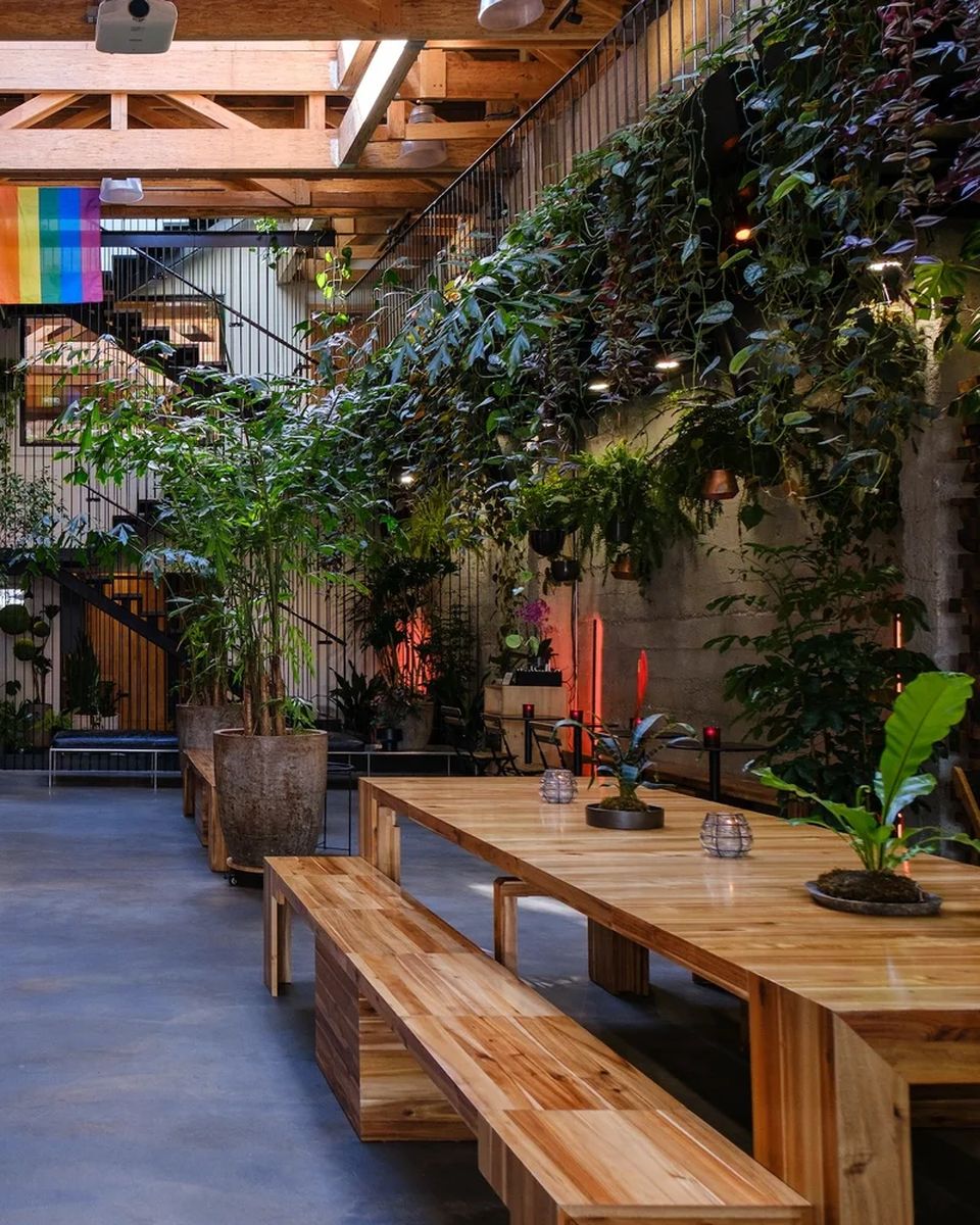 Arcana's greenhouse room, long wooden tables under hanging plants